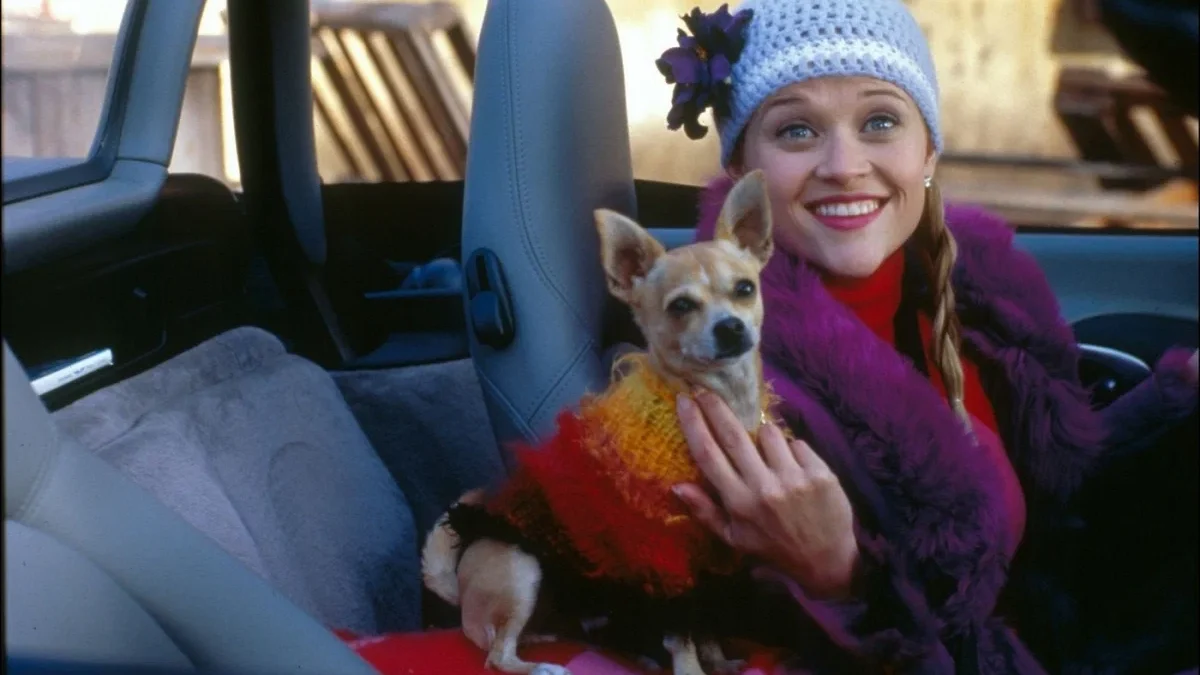 «Блондинка в законе» Год. 2001 Режиссёр. Роберт Лукетич Жанр. комедия