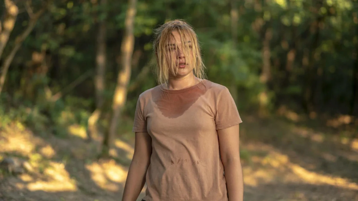 «Солнцестояние» Год. 2019 Режиссёр. Ари Астер Жанр. ужасы, триллер