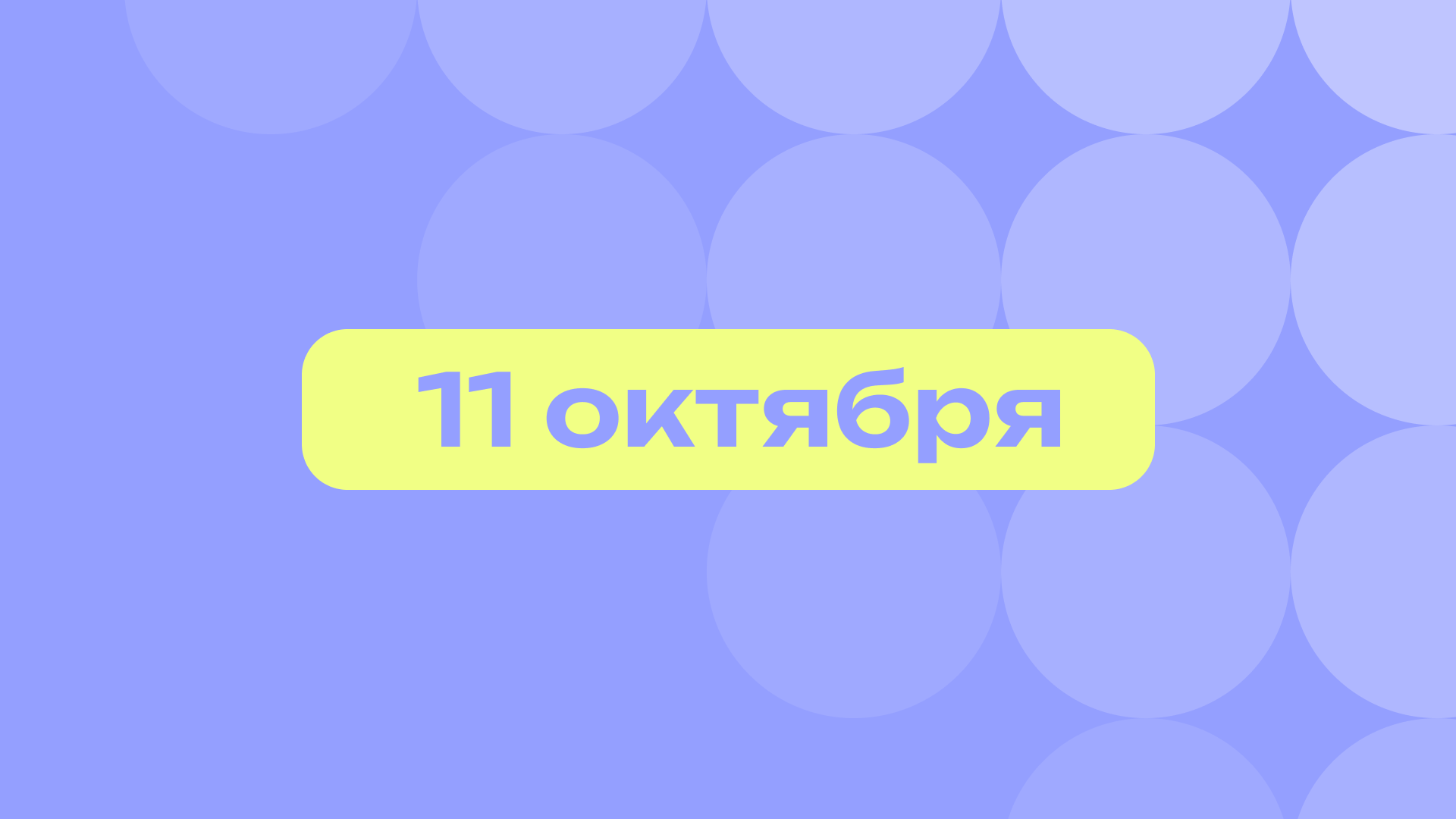 Птицы-мигранты и толстые котики: лучшие события 11 октября