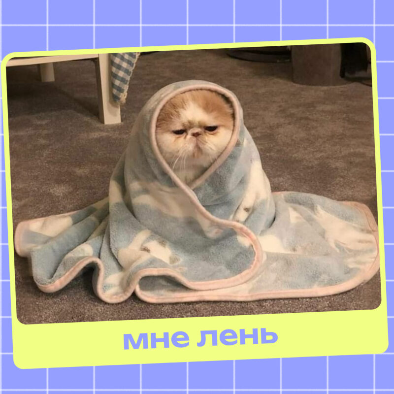 Как понять, что у меня хроническая усталость, а не обычная лень? Симптомы и советы психотерапевта