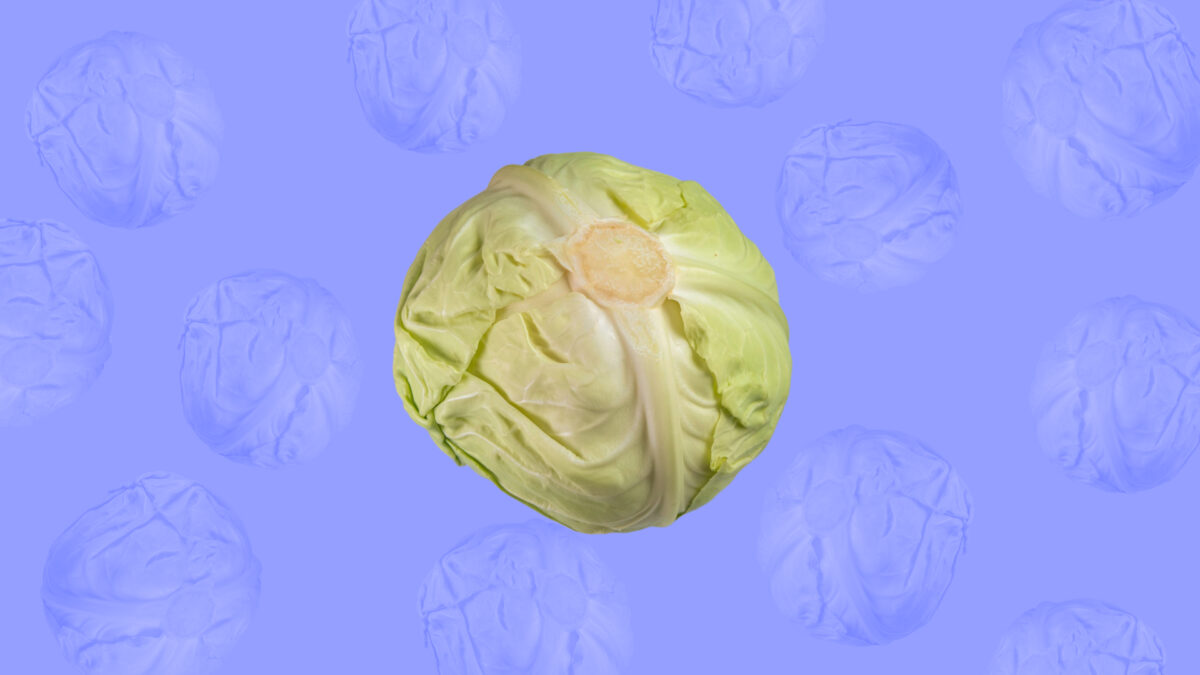 Рецепты из капусты: топ-50 идей, что приготовить и пошаговая инструкция