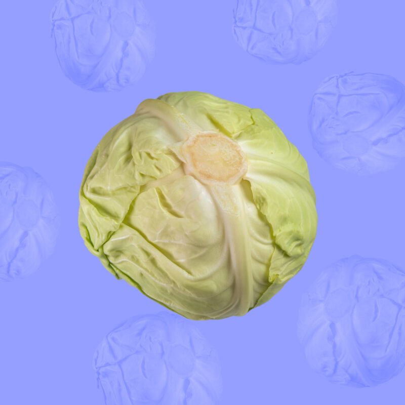 Рецепты из капусты: топ-50 идей, что приготовить и пошаговая инструкция