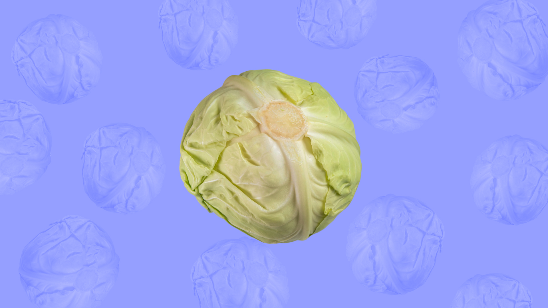 Рецепты из капусты: топ-50 идей, что приготовить и пошаговая инструкция