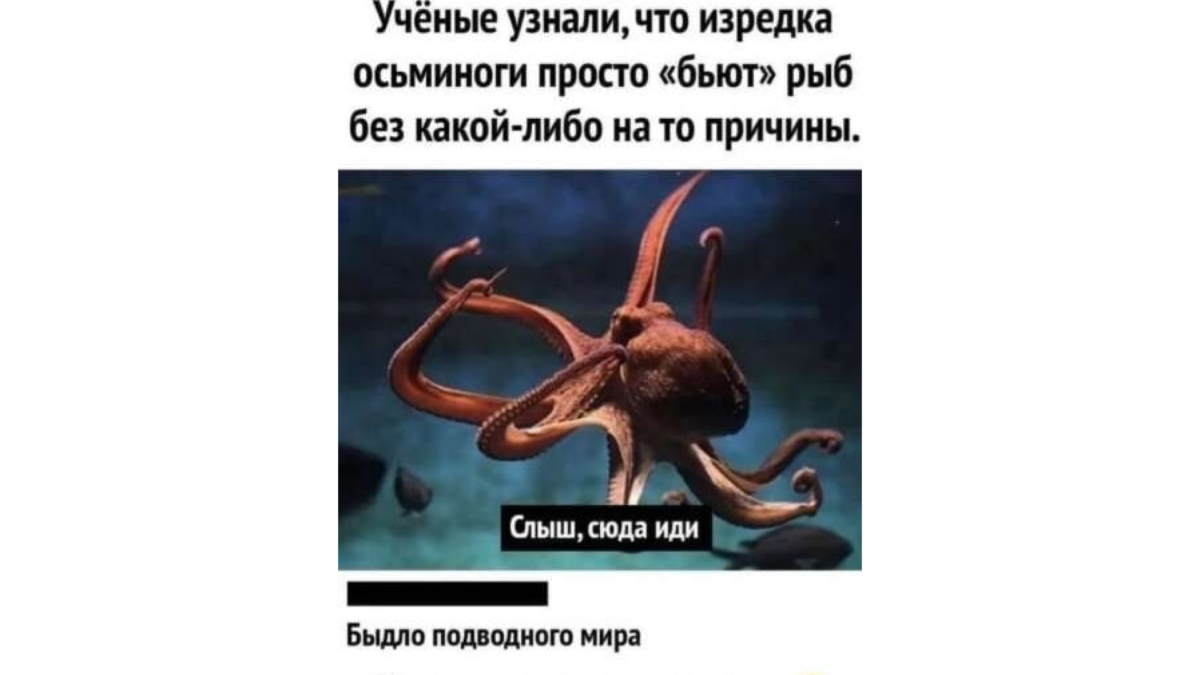 8 октября: какой сегодня праздник и кто родился сегодня?