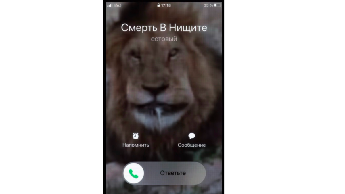 17 октября: какой сегодня праздник и кто родился сегодня?