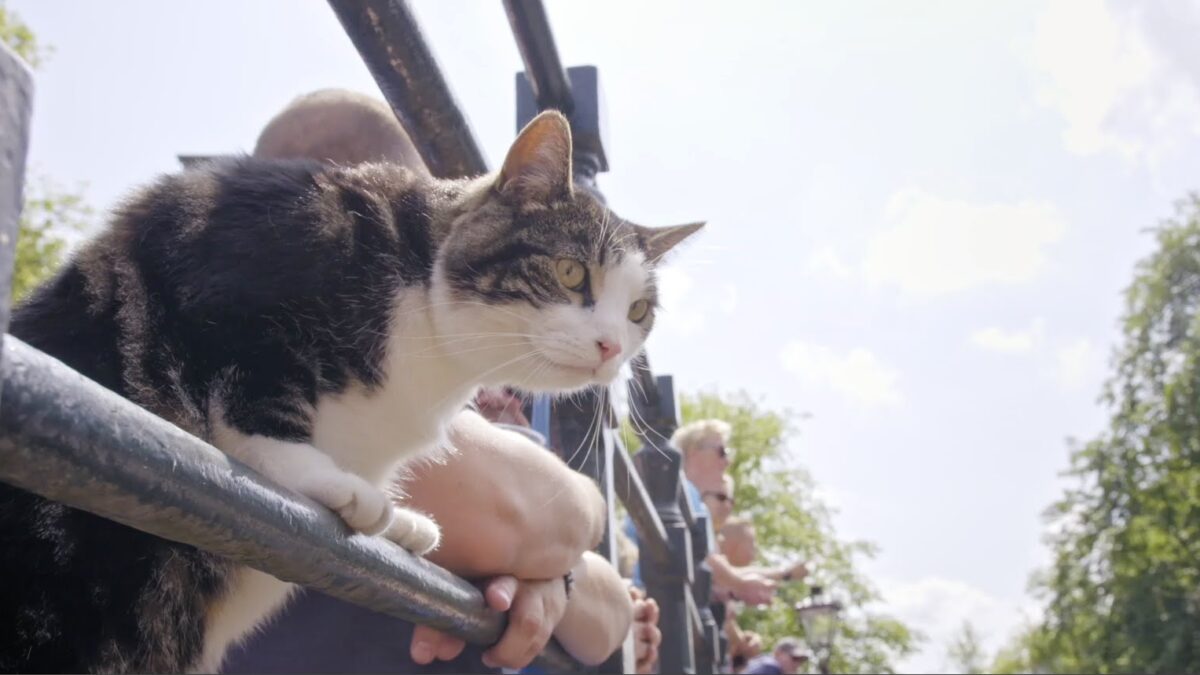 Кино для души, которое подарит надежду и тепло