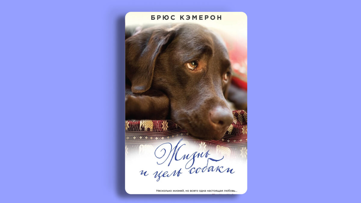 «Жизнь и цель собаки», Брюс Кэмерон