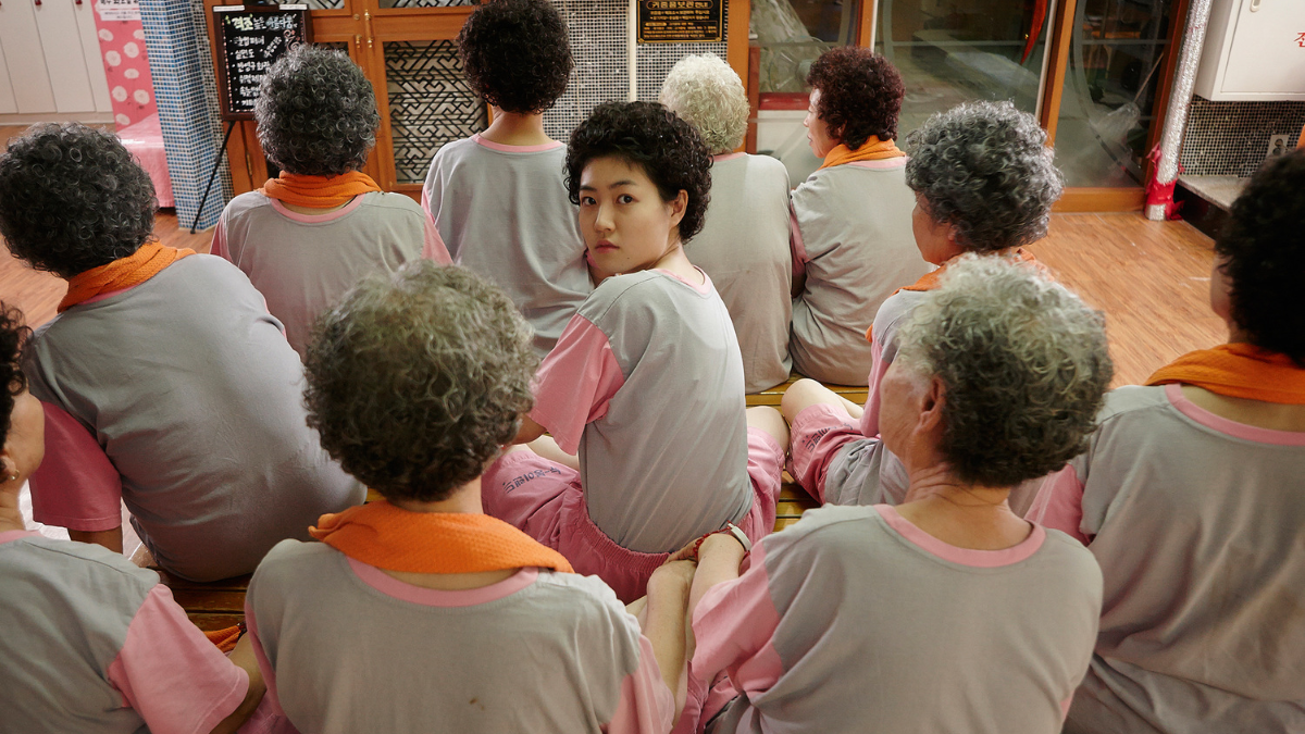 «Мисс Бабуля», 2014