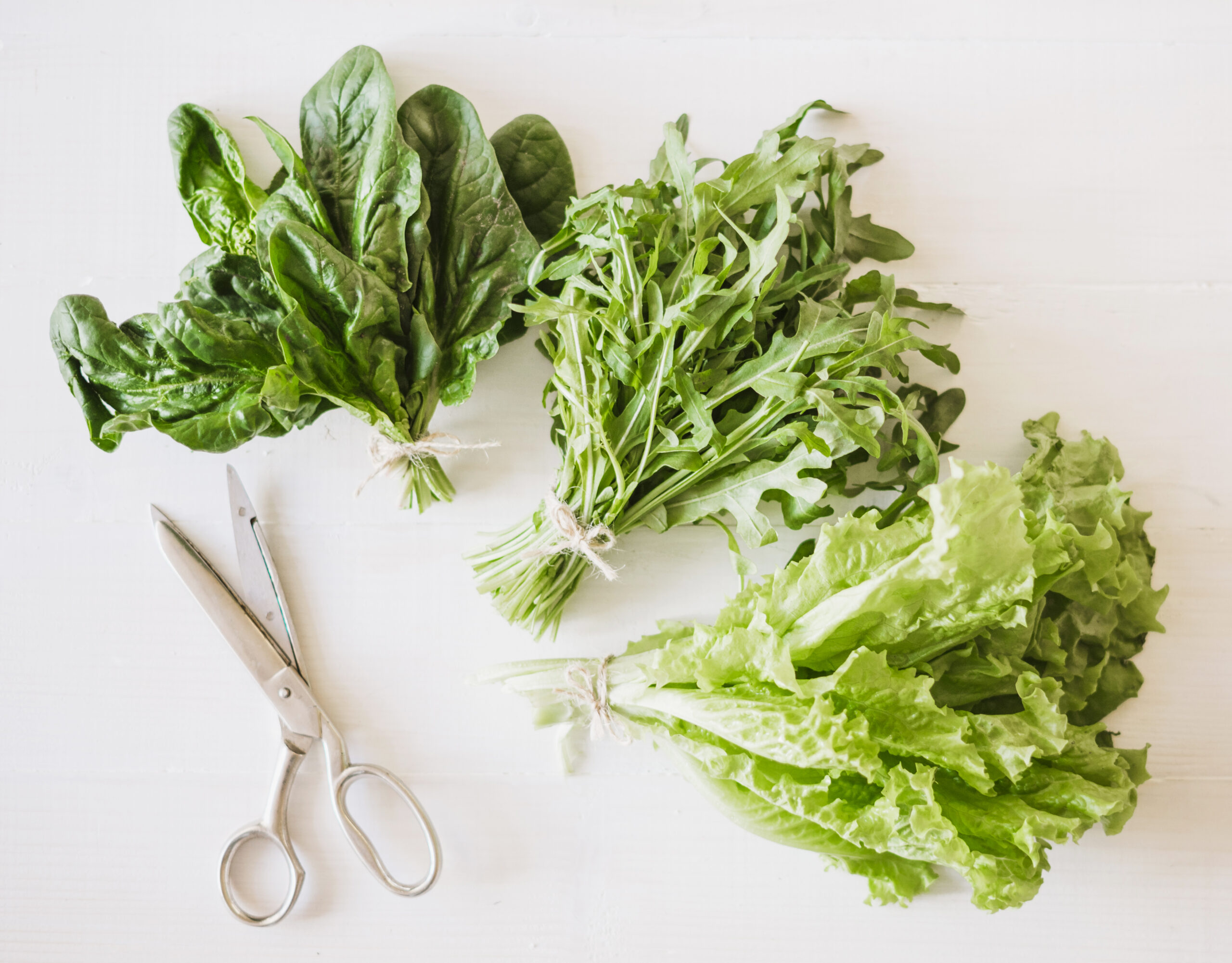 Витамин К: дефицит, польза, в каких продуктах содержится