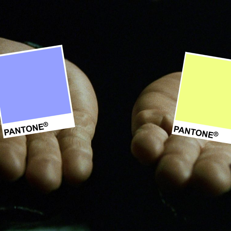 Wildberries – фиолетовый, Sony – чёрный. Почему бренды выбирают эти цвета и как это влияет на нас?