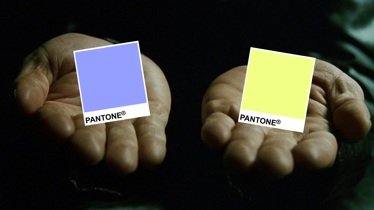 Wildberries – фиолетовый, Sony – чёрный. Почему бренды выбирают эти цвета и как это влияет на нас?