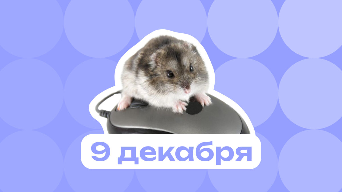 Гладим мышку и смеёмся пять минут: самое интересное 9 декабря