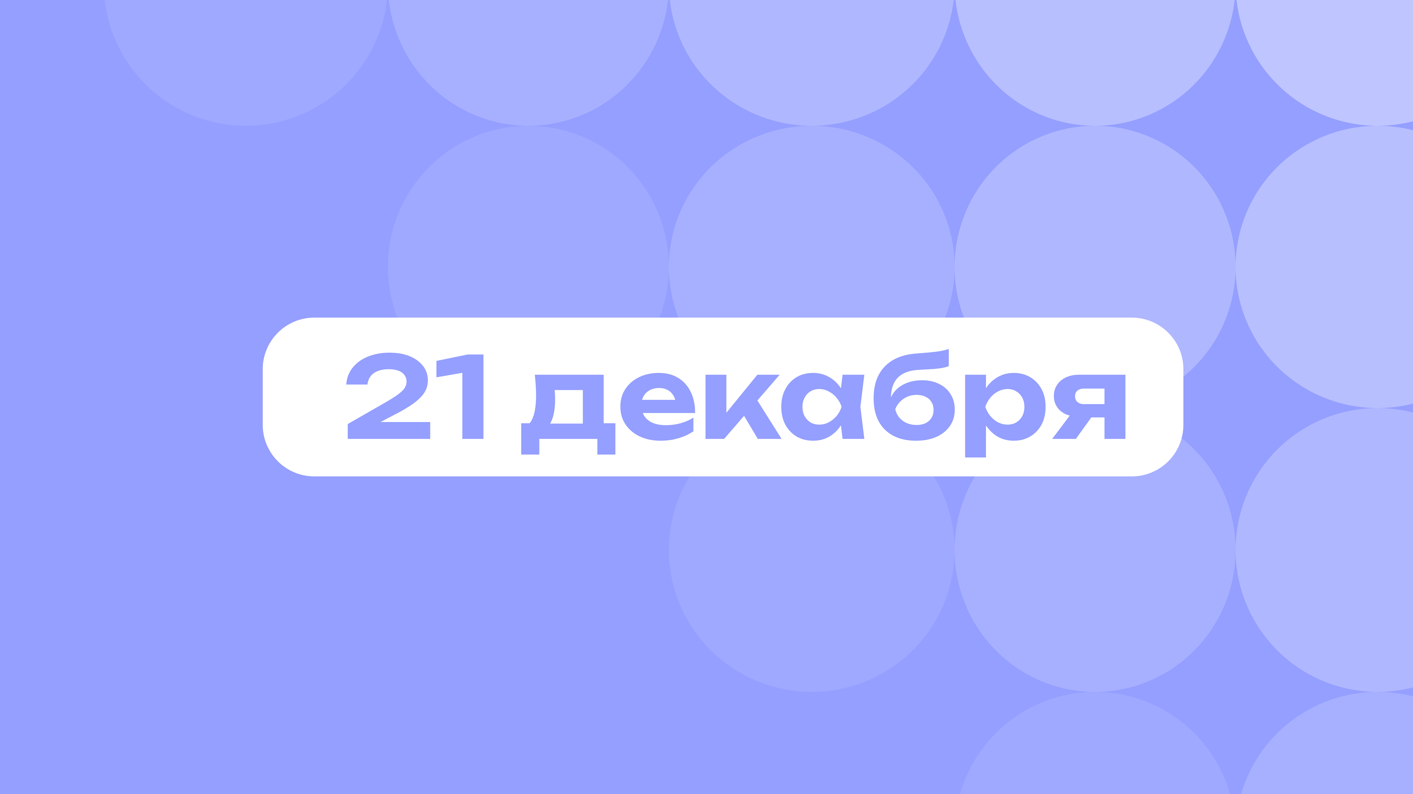 Анфиса Чехова и самая долгая ночь: самое важное 21 декабря