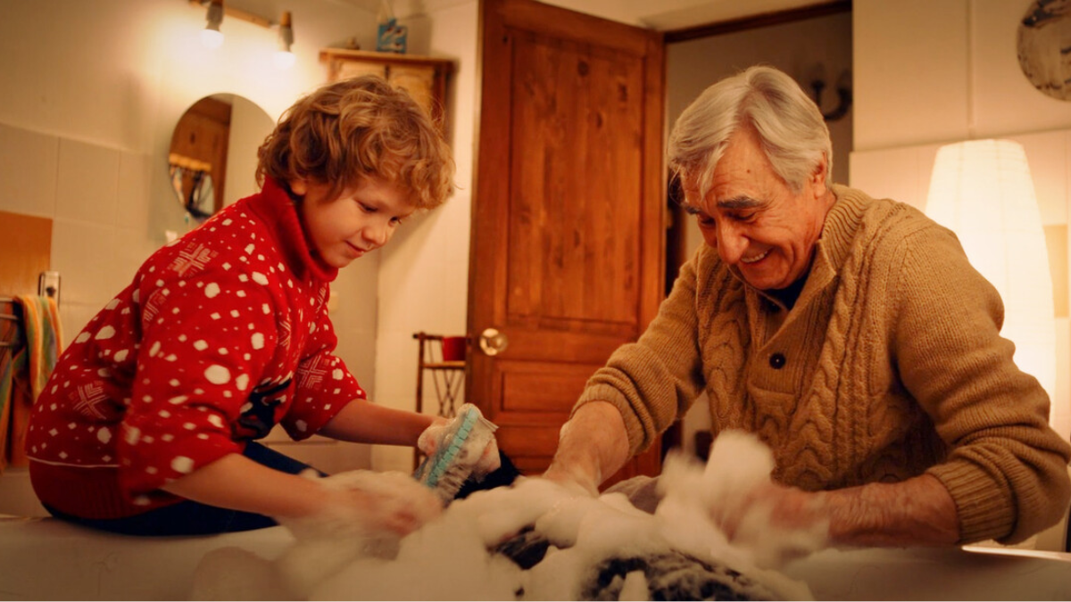 «Моё собачье дело» (2024)