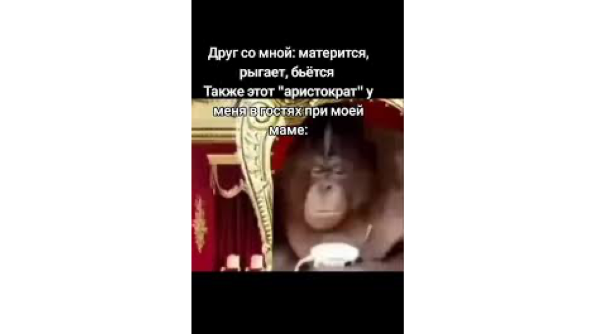 14 декабря: какой сегодня праздник и кто родился сегодня?