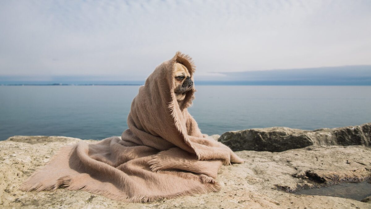 Девы сегодня – душнилы, а Близнецы – самовлюблённые токсики: лучший гороскоп на 28 января 2026 года