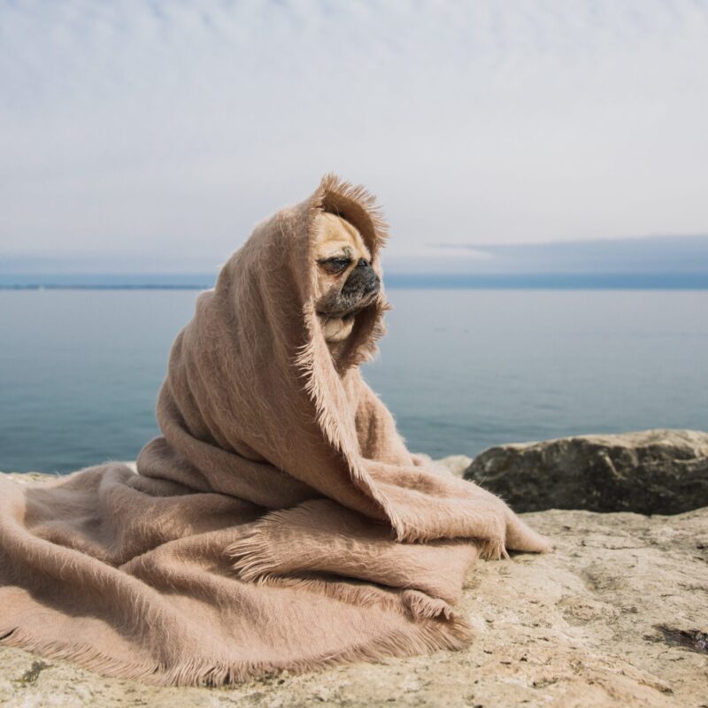 Девы сегодня – душнилы, а Близнецы – самовлюблённые токсики: лучший гороскоп на 28 января 2026 года