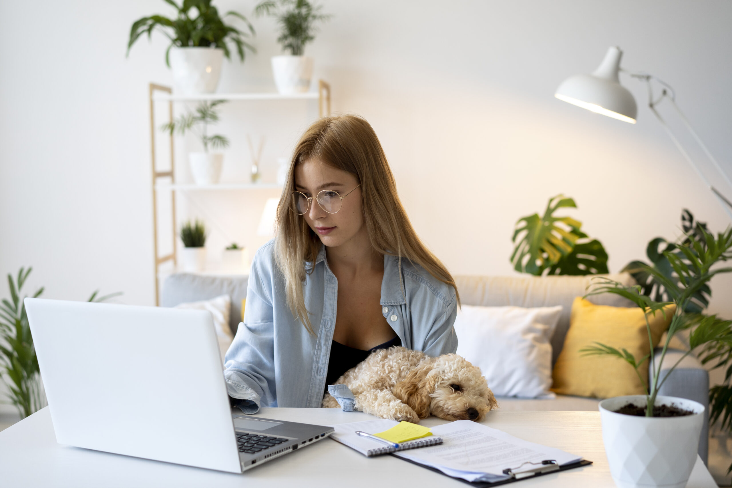 Как работать на удалёнке: где взять мотивацию и как себя дисциплинировать