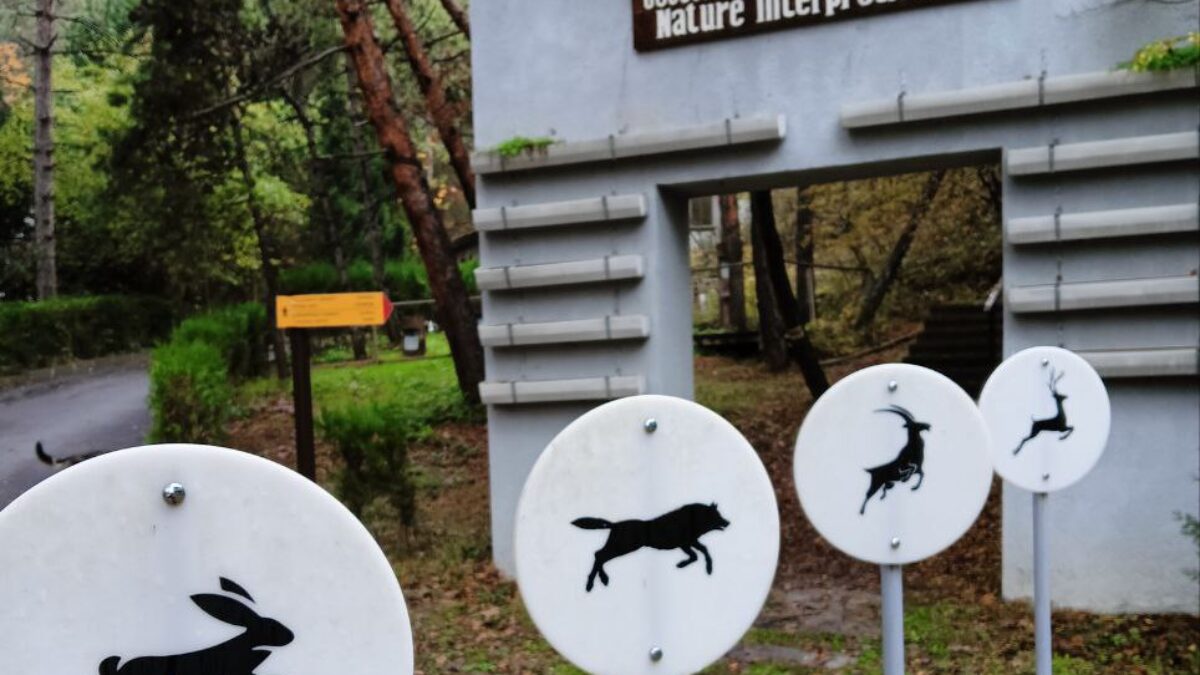 Что посмотреть в Боржоми за один-два дня: подробный гайд