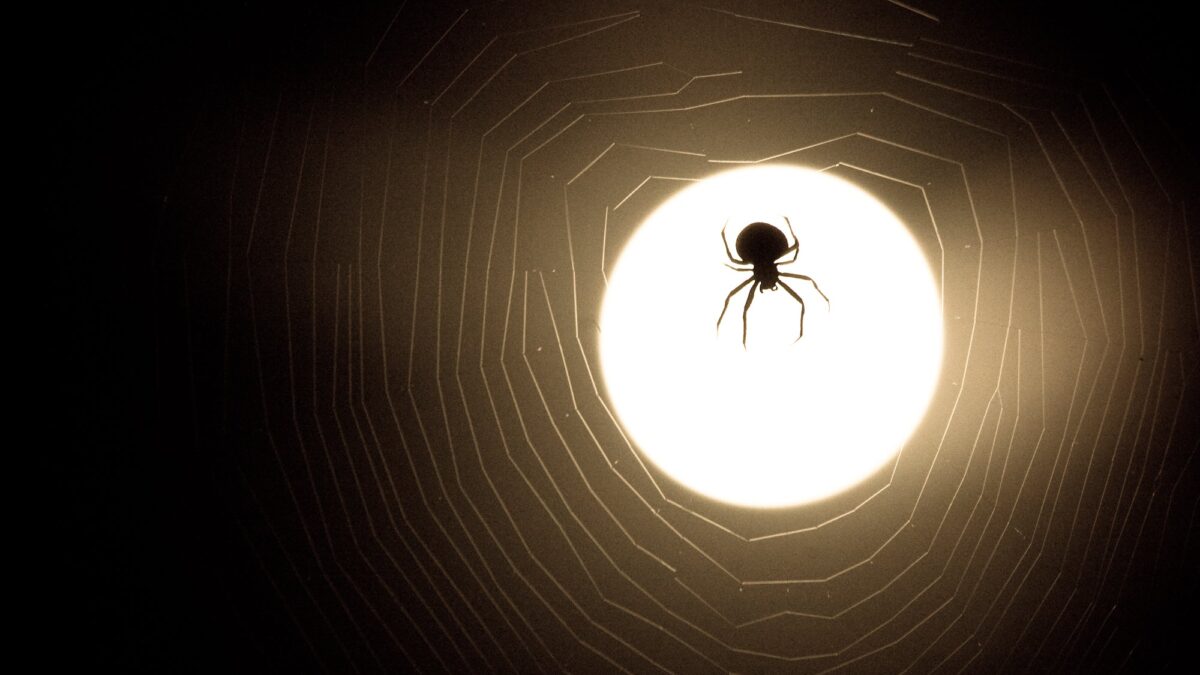 Ракам – звонки от сумасшедшего бывшего, Рыбам – доходы: лучший гороскоп на 25 января 2026 года