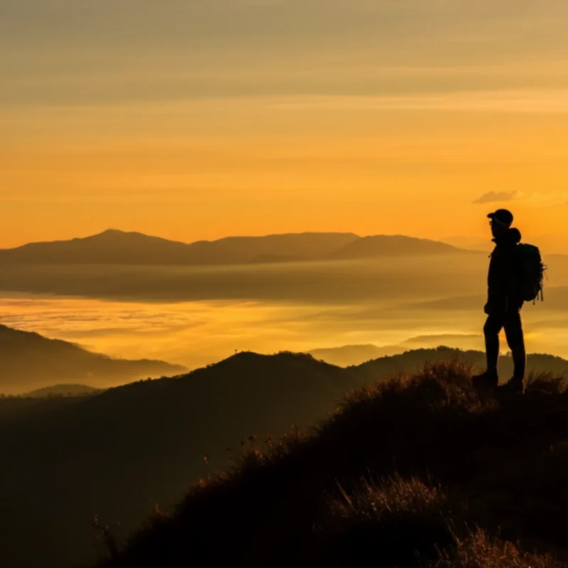 Как найти смысл жизни: мнение психолога
