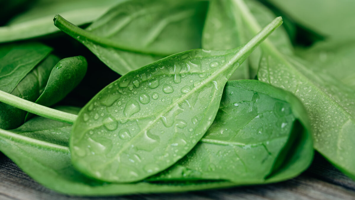 Еда для мозга: топ-10 продуктов и как их приготовить