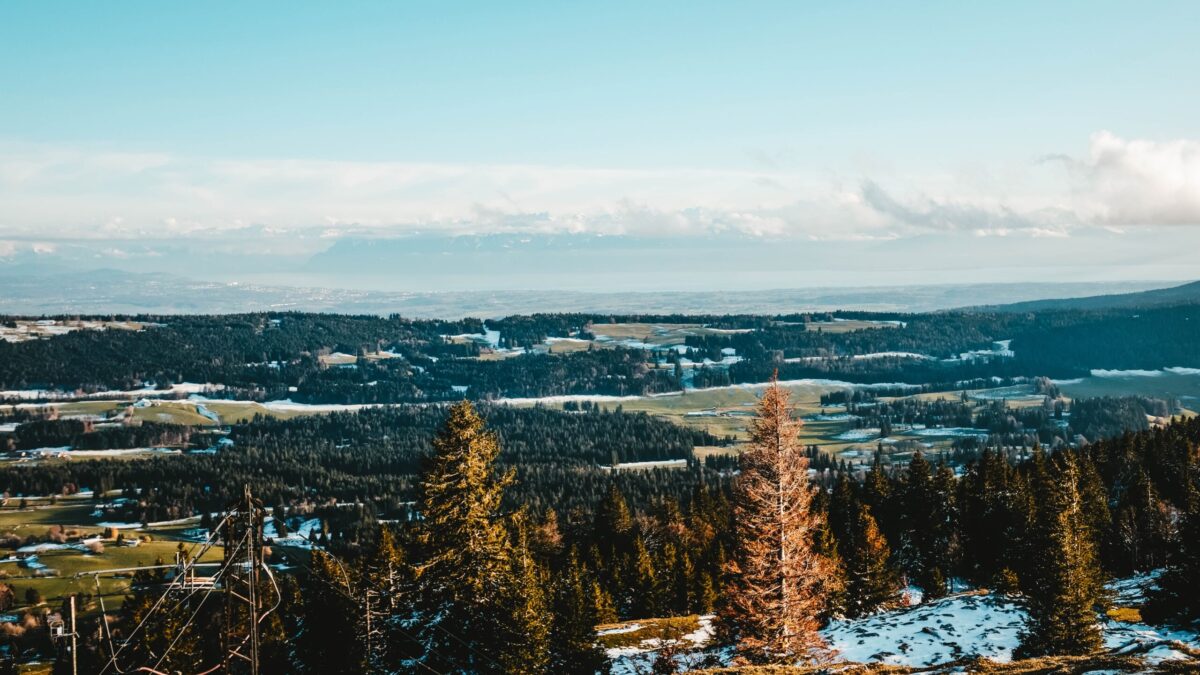 Куда поехать весной? Топ-10 направлений в России