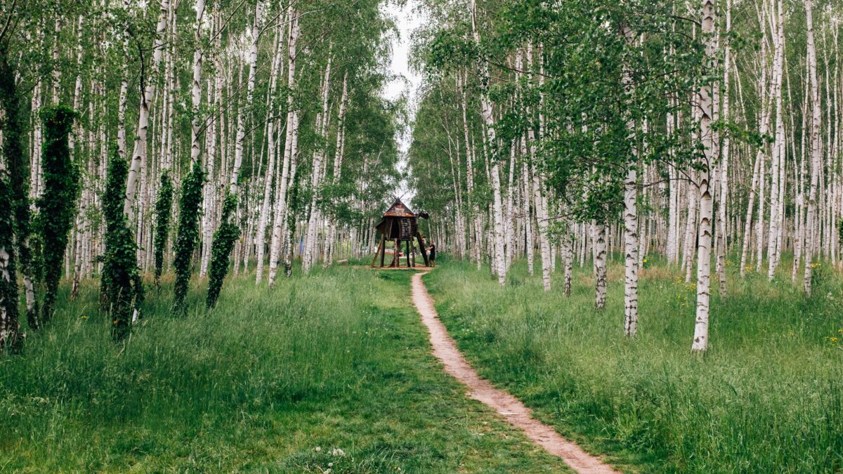 Глэмпинг в России: что это такое, как открыть и куда поехать