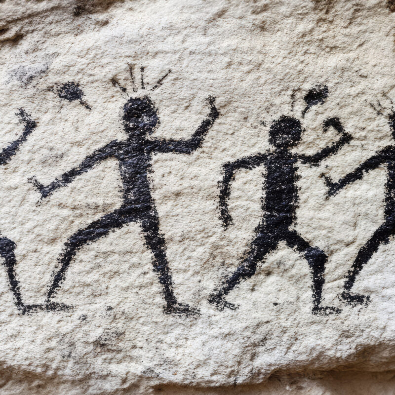 Шутка эволюции или способ выживания: что такое эгоизм и альтруизм?