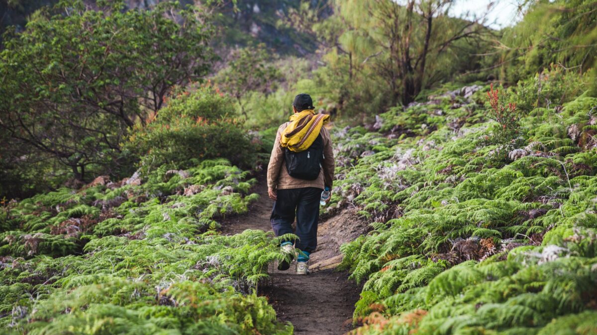 Путешествие к корням: зачем люди ездят на родину предков, которых давно нет?