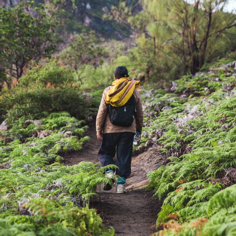 Путешествие к корням: зачем люди ездят на родину предков, которых давно нет?