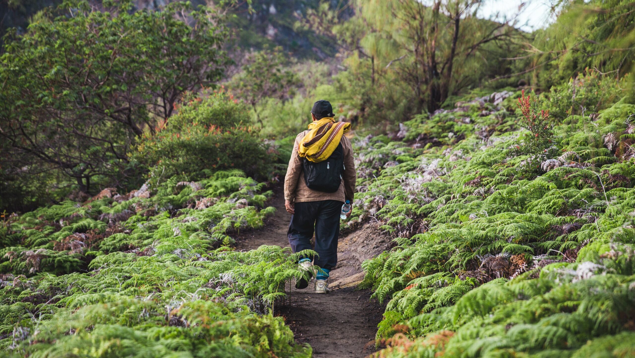 Путешествие к корням: зачем люди ездят на родину предков, которых давно нет?
