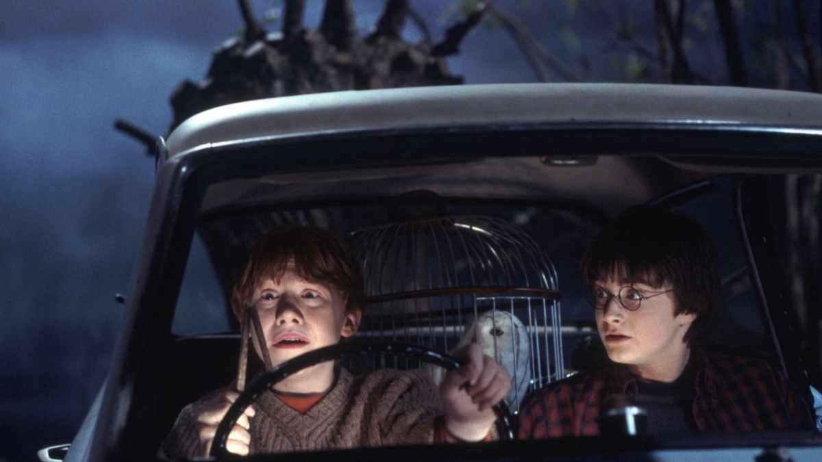 1 Кадр из фильма «Гарри Поттер и Тайная комната» (2002).