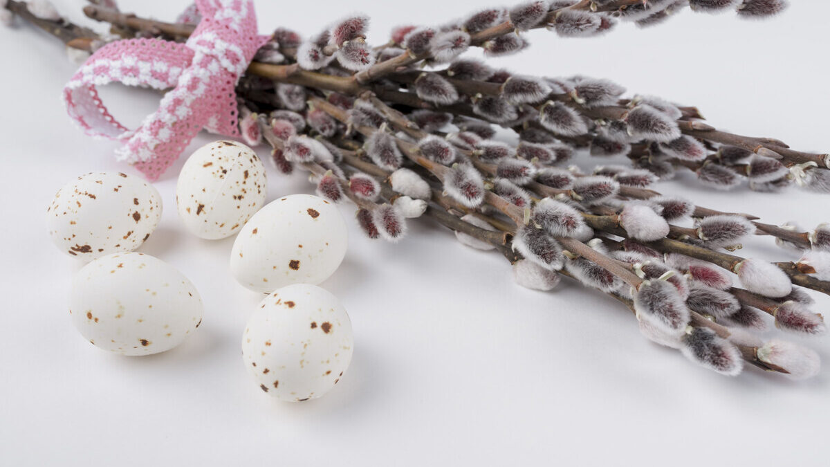 Вербное воскресенье в 2026 году: дата, суть, традиции и интересные факты