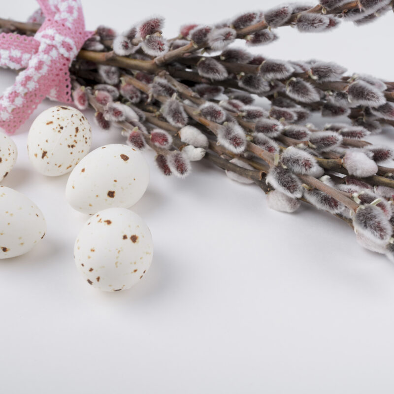 Вербное воскресенье в 2026 году: дата, суть, традиции и интересные факты