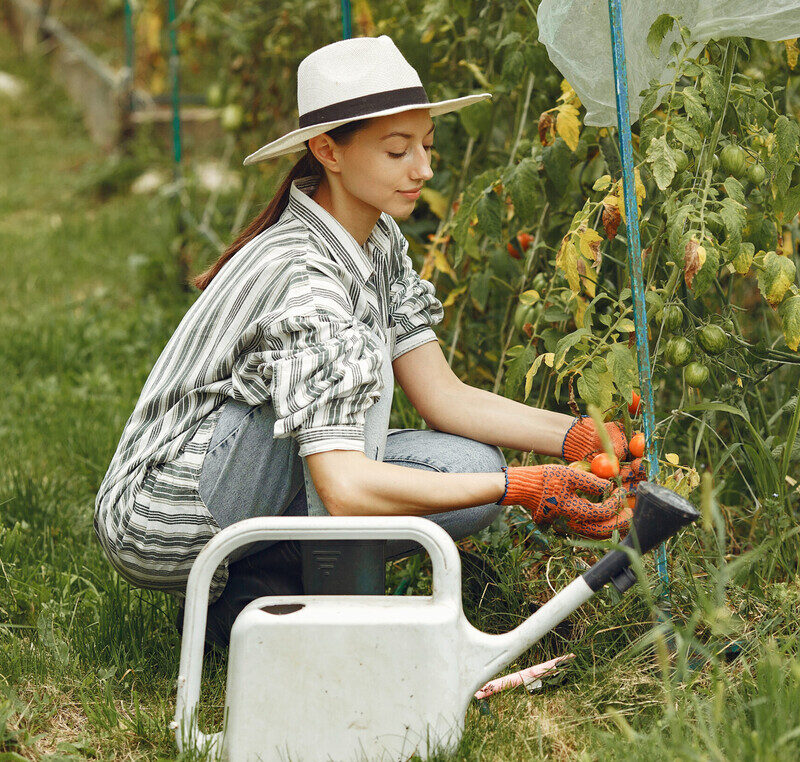 Боль в спине в дачный сезон: как работать на огороде без вреда для здоровья