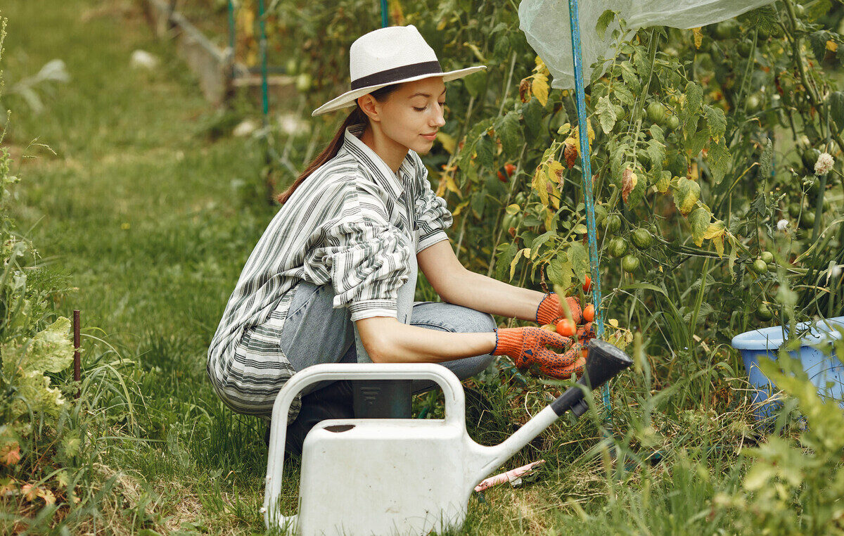 Боль в спине в дачный сезон: как работать на огороде без вреда для здоровья