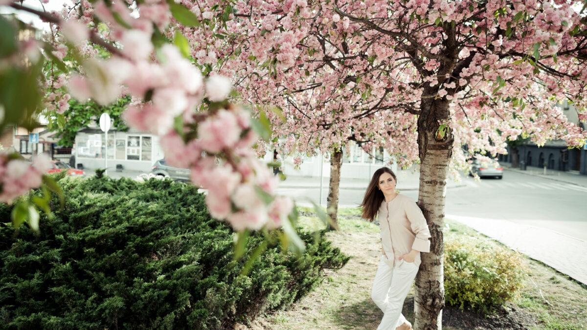 Цветение сакуры в Краснодаре 2026: когда и где посмотреть?