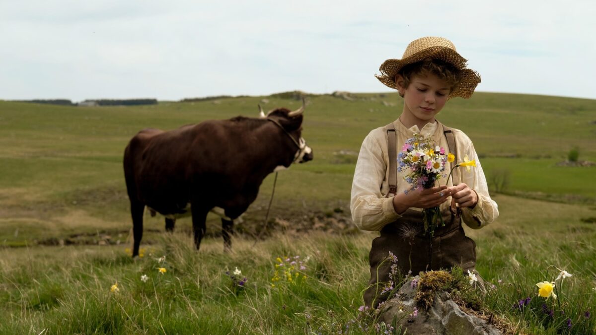 «Приключения Реми», 2018