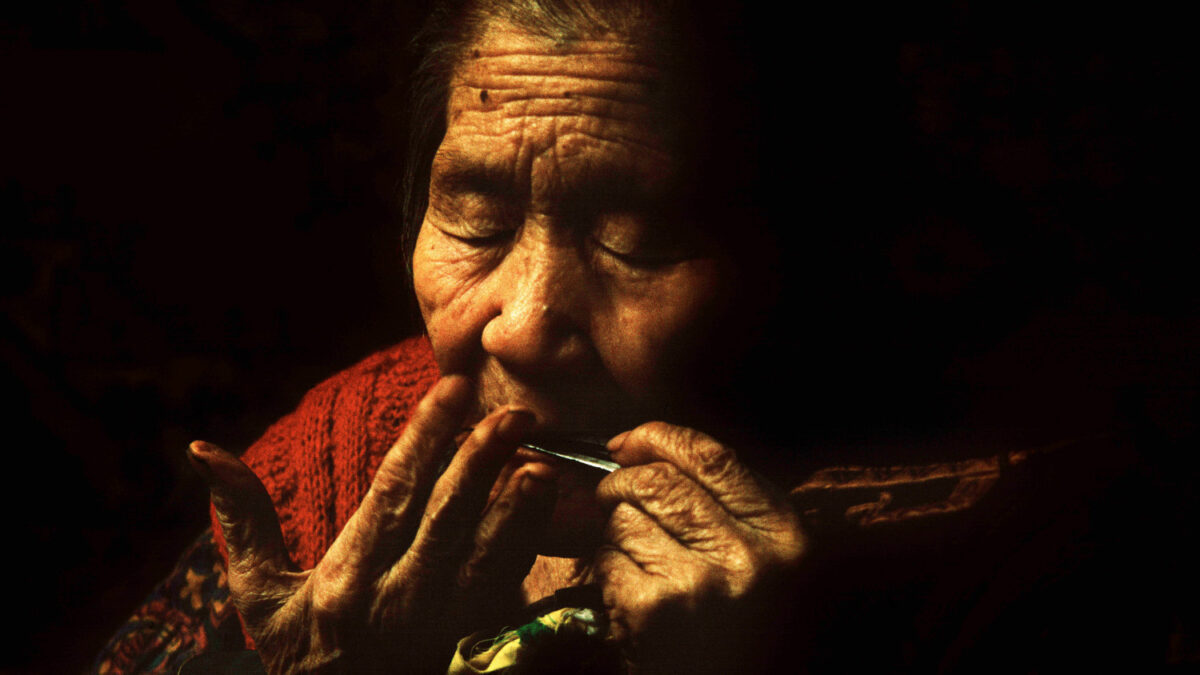 «Великий северный путь», 2019