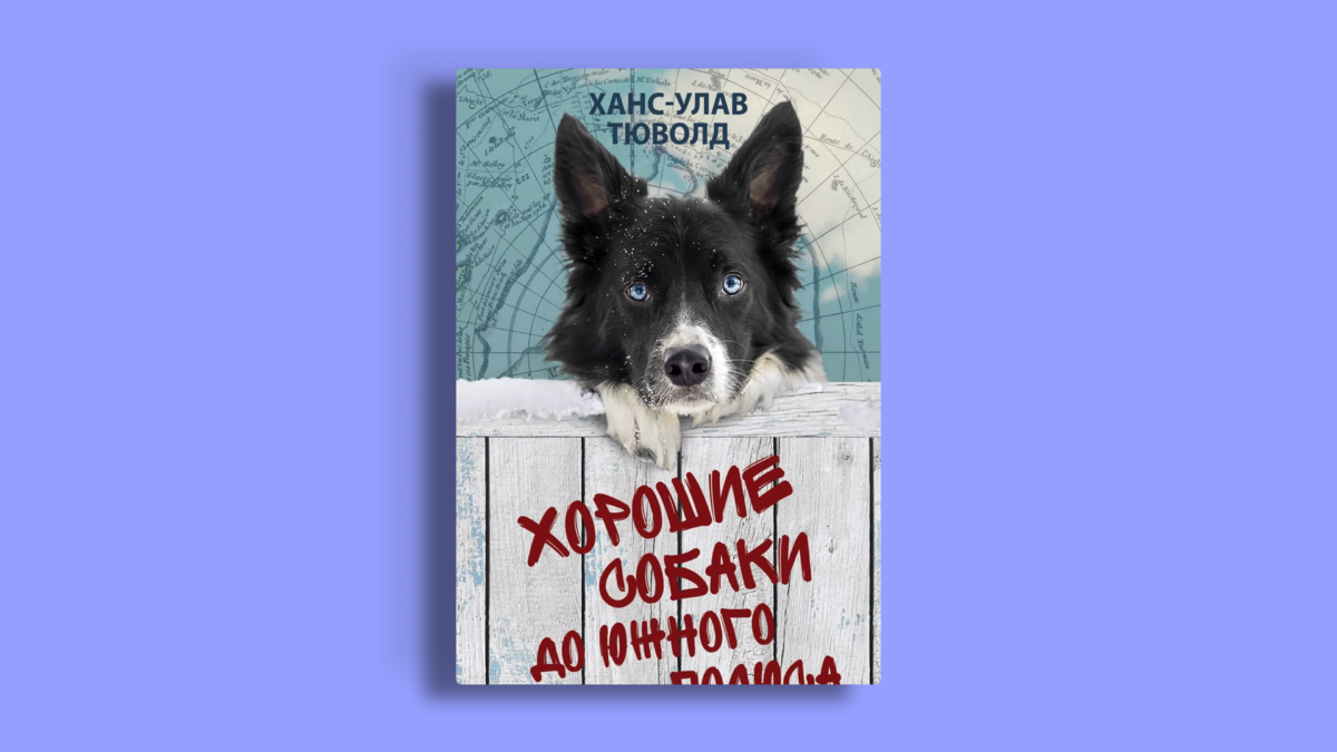 8 лучших книг про собак – трогательных и смешных