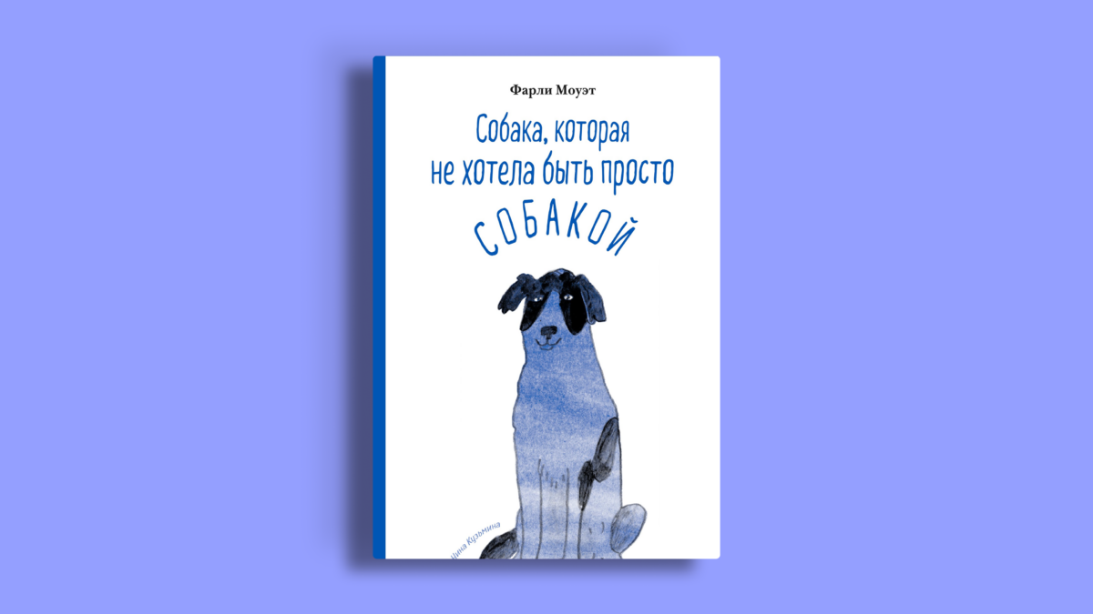 8 лучших книг про собак – трогательных и смешных