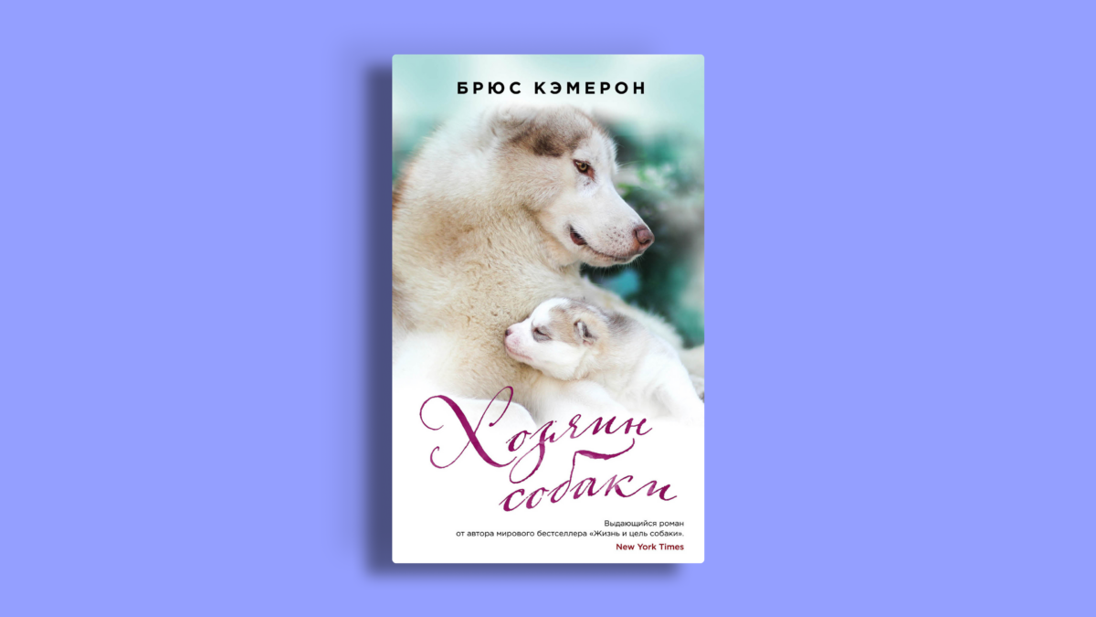 8 лучших книг про собак – трогательных и смешных