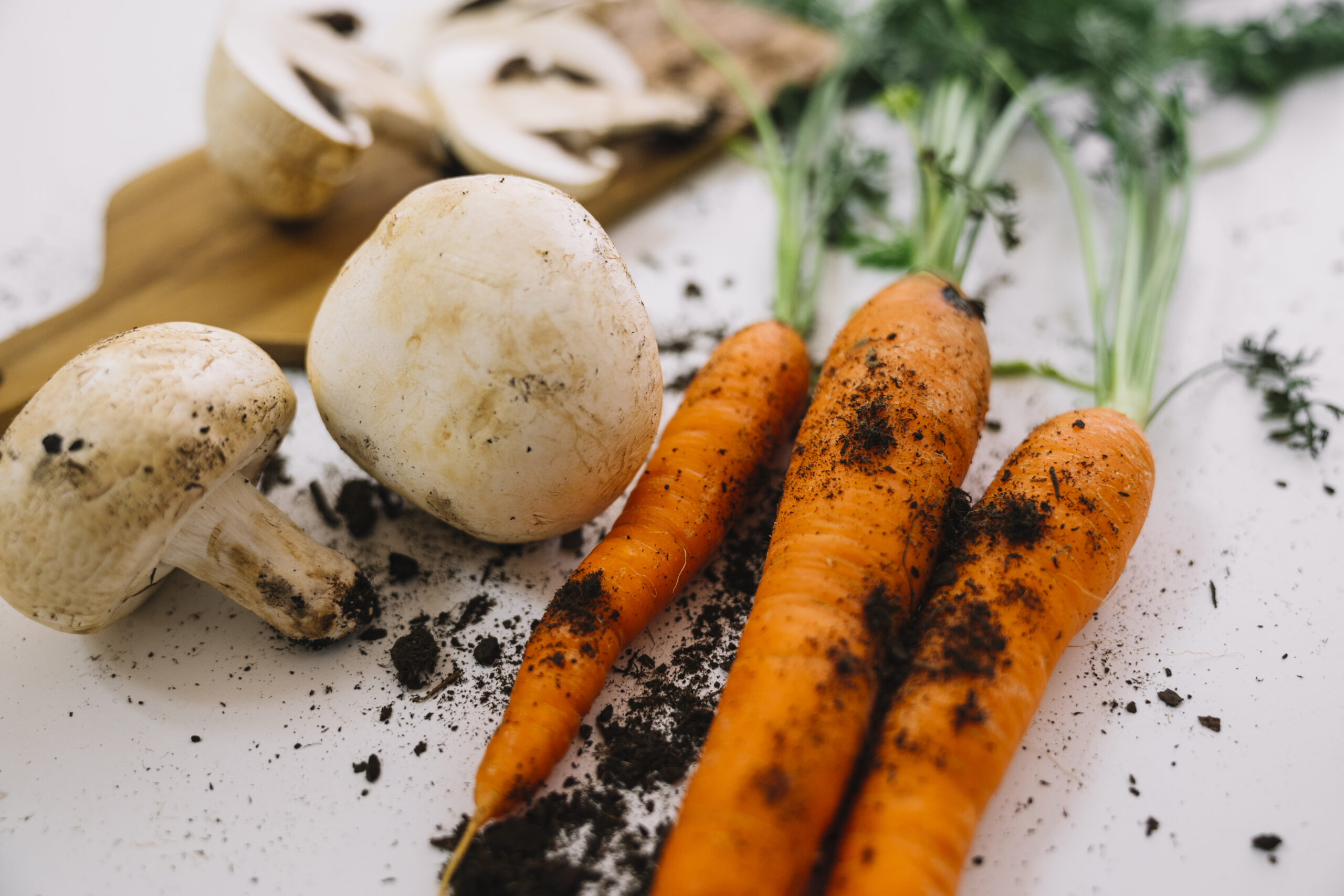 Плесень на продуктах: насколько это опасно и почему не стоит срезать «просто пятнышко»