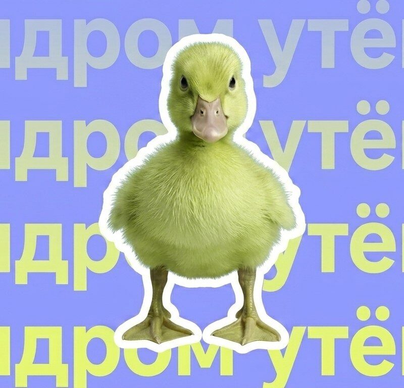 Синдром утёнка в психологии: что это такое и как от него избавиться