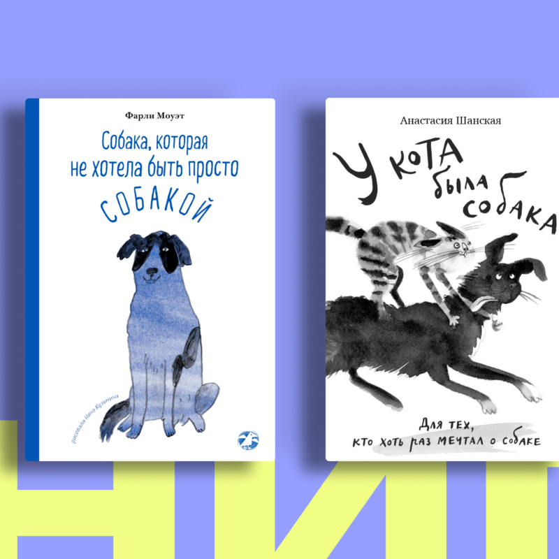 Книги про собак: список для тех, кто любит животных и хорошую прозу